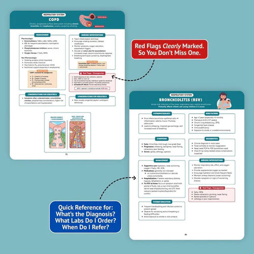 The Essential Pharmacology Guide for Nursing Students